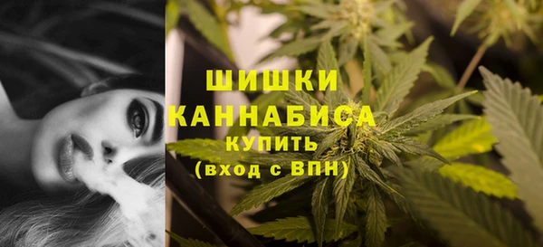 герыч Пересвет
