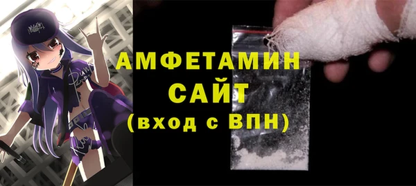 гашик Пестово