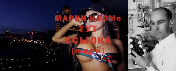 гашик Пестово