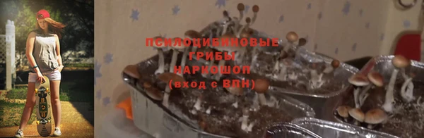 герыч Пересвет