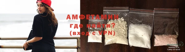 гашик Пестово