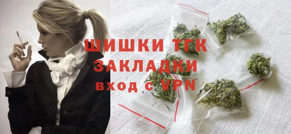 гашик Пестово