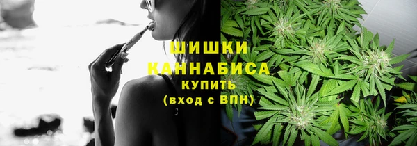 mdpv Переславль-Залесский