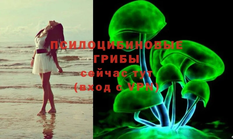 Псилоцибиновые грибы MAGIC MUSHROOMS  Крымск 