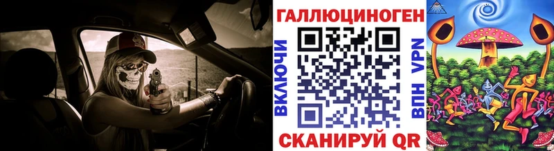 Псилоцибиновые грибы Psilocybe Крымск