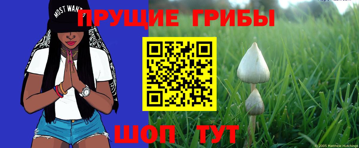 Галлюциногенные грибы MAGIC MUSHROOMS Крымск