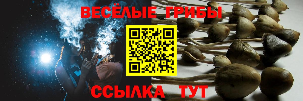 Галлюциногенные грибы мухоморы  Псилоцибиновые грибы прущие грибы  наркота  Вход с VPN  Крымск 